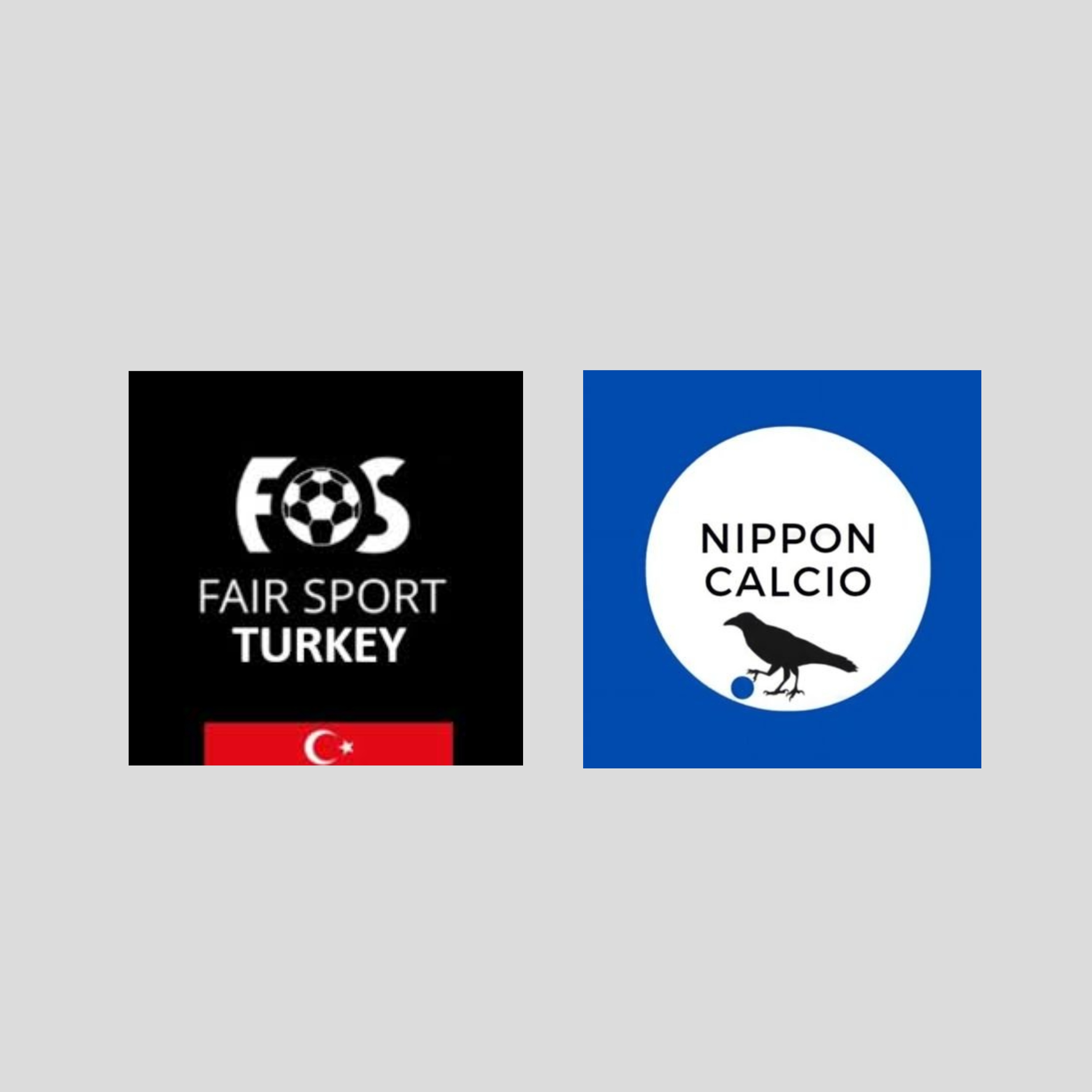 FairSport Turkey Logo, Nippon Calcio Logo