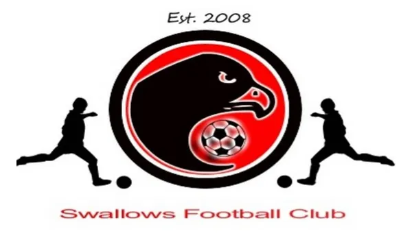 Swallows FC Logo